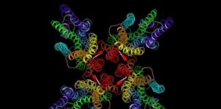 Research: Structure of ion channel reveals how insects smell their way around the world —