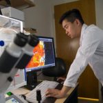 Study: Muscular dystrophy patients could someday also benefit from this hydrogel successfully tested in mice — (Details)