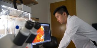 Study: Muscular dystrophy patients could someday also benefit from this hydrogel successfully tested in mice — (Details)