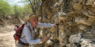 Research: Old species learn new tricks…very slowly —