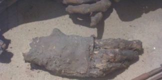 Research: Prehistoric mummy reveals ancient Egyptian embalming ‘recipe’ was around for millennia —