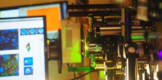 Study: Super-resolution microscope reveals secrets of deadly Nipah virus — (Details)