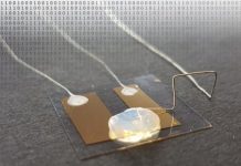 Research: Milestone of energy efficiency in information technology —