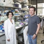 Study: Key protein involved in the development of autism discovered — (Details)