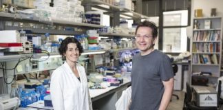 Study: Key protein involved in the development of autism discovered — (Details)