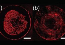 Tech: New manufacturing technique could improve common problem in printing technology — (Report)