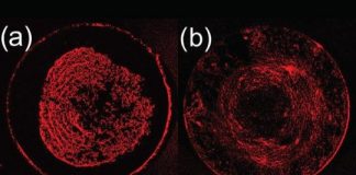 Tech: New manufacturing technique could improve common problem in printing technology — (Report)