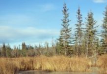 Research: ‘Abrupt thaw’ of permafrost beneath lakes could significantly affect climate change models —