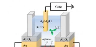 Research: Using Debye lengths, researchers improve sensor response to better analyze biomolecules —