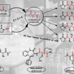 Study: Chemists find a surprisingly simple reaction to make a family of bioactive molecules — (Details)