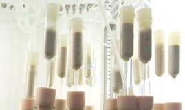 Tech: Enzyme could help accelerate biofuel production — (Report)