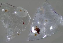 Research: The environmental cost of contact lenses —