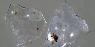 Research: The environmental cost of contact lenses —