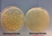 Tech: Weaponizing oxygen to kill infections and disease — (Report)