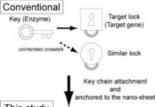 Tech: Scientists construct integrated gene logic-chips called ‘gene nanochips’ — (Report)
