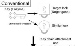 Tech: Scientists construct integrated gene logic-chips called ‘gene nanochips’ — (Report)