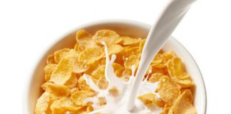 Study: Effects of protein composition and concentration — (Details)