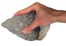 Research: Stone tools reveal modern human-like gripping capabilities 500,000 years ago —