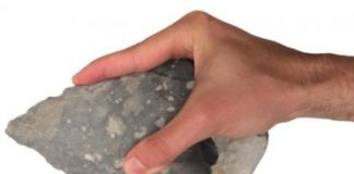 Research: Stone tools reveal modern human-like gripping capabilities 500,000 years ago —