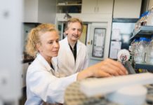 Research: Synthetic DNA-based enzymes —