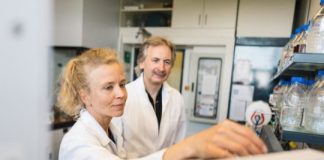 Research: Synthetic DNA-based enzymes —