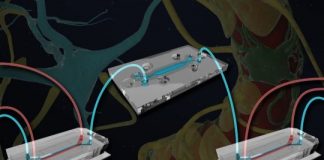 Study: Taking the brain apart to put it all together again — (Details)