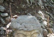 Research: Finding underscores potential impact of soil management on future greenhouse-gas levels —