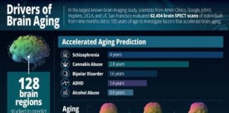 Research: Schizophrenia, cannabis use, and alcohol abuse are just several disorders that are related to accelerated brain aging —