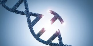 Research: New method not only gives the user complete spatiotemporal control but also treads lightly on DNA —