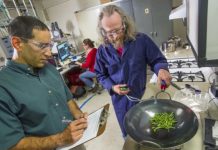 Research: Study finds they can be helpful during wildfire season —