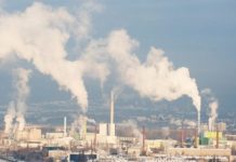 Tech: Mechanisms that cause vascular damage — (Report)