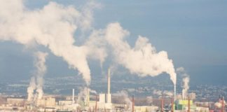 Tech: Mechanisms that cause vascular damage — (Report)