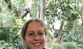 Research: Want to know what ancient koalas ate? Check modern koalas’ teeth —