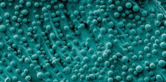 Tech: Big-picture thinking can advance nanoparticle manufacturing — (Report)