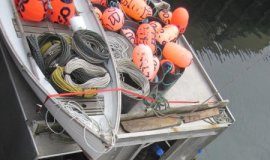 Offbeat: Shortcoming of ITQ systems for fisheries —