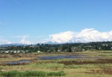 Research: A new emphasis on restoration to protect Puget Sound —