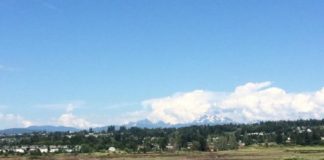 Research: A new emphasis on restoration to protect Puget Sound —