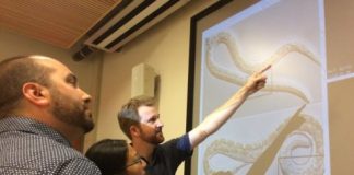 Research: In parasitic worm infection both the host and the worm produce cannabis-like molecules —