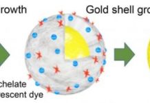 Tech: Nanophotonics lab creates iron-based TI contrast agent for MRI — (Report)