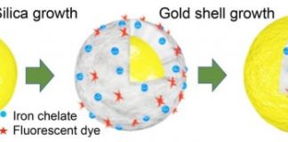 Tech: Nanophotonics lab creates iron-based TI contrast agent for MRI — (Report)