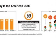 Research: How healthy is the American diet? The Healthy Eating Index helps determine the answer —