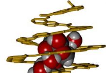 Tech: Biomimetic chemistry: Carbohydrate capture — (Report)