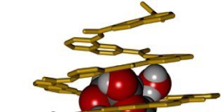 Tech: Biomimetic chemistry: Carbohydrate capture — (Report)