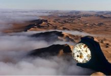 Research: Microorganisms, including potential pathogens, travel from sea to land via fog —