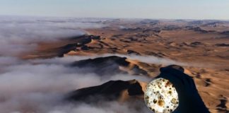 Research: Microorganisms, including potential pathogens, travel from sea to land via fog —