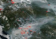 Research: Fires overwhelming British Columbia; smoke choking the skies —