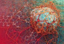 Tech: Keeping cancer out of breath blocks drug resistance — (Report)