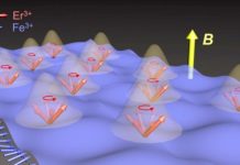 Tech: Physicists show first proof of Dicke cooperativity in a matter-matter system — (Report)