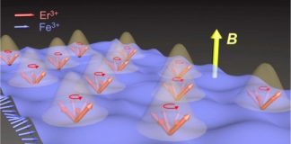 Tech: Physicists show first proof of Dicke cooperativity in a matter-matter system — (Report)