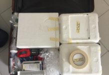 Research: Genome sequencing sheds light on yellow fever outbreak in Brazil —